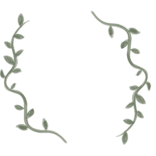 Avatar Frame